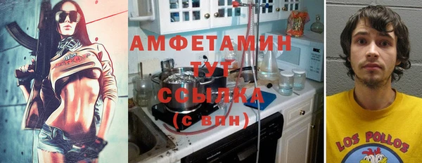гидра Алексин
