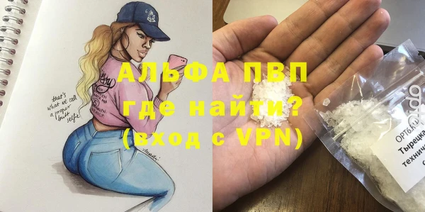 гидра Алексин