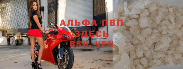 СК Алзамай